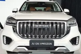 长城“六大新车”来袭：坦克600将亮相，电动版“甲壳虫”复活图片