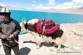 塔什库尔干印象图片