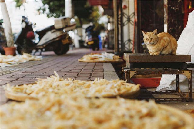 汕头福合市场鱼胶批发 2026年汕头福合市场鱼胶批发市场在哪