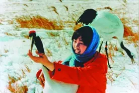 中国第一位驯鹤姑娘徐秀娟：突破世界级难题，23岁化身仙鹤图片