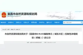 厉害了！宜昌城东规划2条地铁+2条BRT+23所学校图片