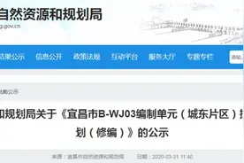 厉害了！宜昌城东规划2条地铁+2条BRT+23所学校图片