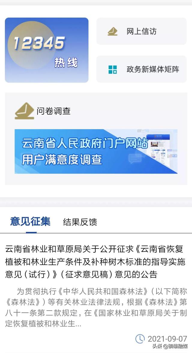快来体验！云南省人民政府门户网站手机版优化升级，政府信息、政策解读、办事服务……尽在“掌”握