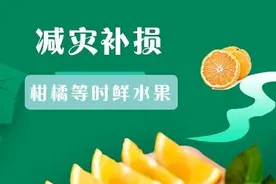 「减灾补损」柑橘等时鲜水果的抗涝管理图片