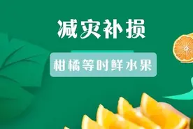 「减灾补损」柑橘等时鲜水果的抗涝管理图片