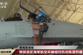 歼11BH新姿态呼啸亮相！中国战机涂装集体换新，反侦察意义重大图片