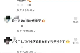 猫：小兄弟你再举高点啊，我就下来了图片