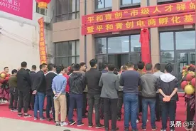 平和青创再添一市级称号 电商孵化基地正式成立图片