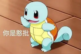 杰尼龟表情包合集｜憨一憨会更好，憨批集合图片