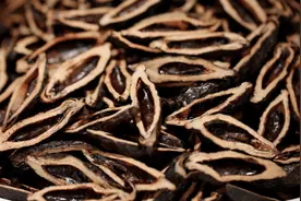 国家对槟榔下“狠手”！日益上涨的价格，6000万国人的戒不掉图片