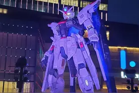 上海Lalaport买的自由高达终于拼完图片