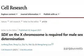 罗孟成团队发现雄性性别决定新机制图片
