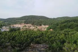 山青仙果甜，月起光明坳图片