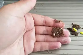 包面钓法听过吗？在夏天野河钓鲫鱼，效果远超台钓，值得一试图片