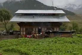 北大夫妻躲进深山隐居10年，花光350万积蓄，现在过得怎样图片