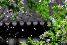 太原中考满分作文《梦里花落知多少》，情文并茂，感人至深图片