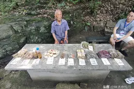 在河南大山深处，偶遇一位卖草药大爷，10元一把不知真假图片