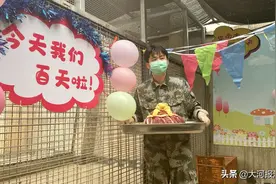 我们百天了！“奶爸奶妈”特制7斤牛肉“蛋糕”，庆祝洛阳首对白虎龙凤胎满百天图片