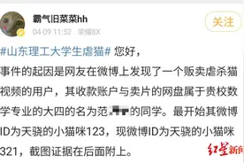 山东一大四学生被指虐杀猫出售视频，学校：已调查，会处理图片