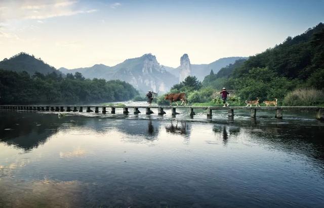 图赏 | 摄影如奇遇,有心得相逢