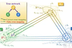 复旦大学数学科学学院林伟教授团队构建辨识因果网络的新型算法图片