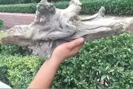 一块烂木头，打磨完逆天了图片