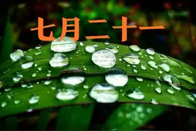 今天七月二十一，“七月二十一动了流，四十五天暴”，啥意思？图片