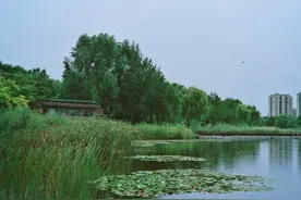 一场雨，洗尽铅华，骤雨初晴，看泰安各地云卷云舒的美图片
