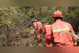 女子进山误踩捕兽夹，宜兴消防火速救援图片