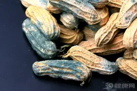 1毫克就致癌的黄曲霉素！高温杀不死，五种物品里常有图片