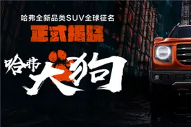 哈弗大狗真的来了 听说这名是网友取的图片