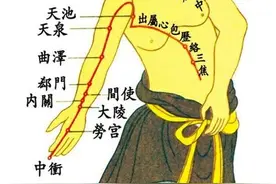 心包经 保护心脏离不了图片