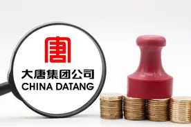 大唐集团控股：业绩稳健增长，大唐特色化产品力优势显著图片