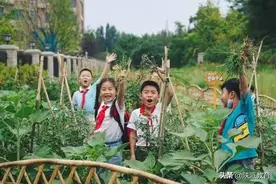 践行“第三课堂”落实“五育并举”——陕西省西安小学落实“三个课堂”纪实之三 | 课堂革命 陕西行动图片