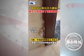 “我是来收房不是收菜”，新房门框上长蘑菇，女业主心态炸裂图片