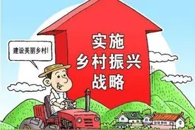 宿松柳坪乡：毛竹产业赋能乡村振兴图片