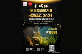 开赛通知 | 2021CBAC长城杯原生态造景大赛开启图片