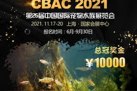 开赛通知 | 2021CBAC长城杯原生态造景大赛开启图片