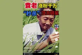 袁隆平爷爷又火了！央视赞其顶流，入驻抖音当天粉丝量便破千万图片