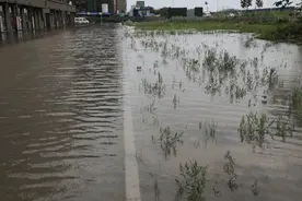 徐州连续下雨，炸出一堆“漏水盘”，业主欲哭无泪图片