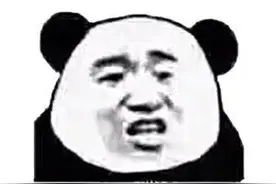 熊猫头表情包｜别收拾了，直接滚吧图片