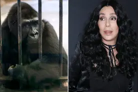 为什么人类会进化掉体毛，唯独保留了头发，腋毛和阴毛呢？图片