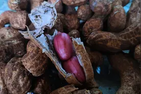 这几十年，原来吃过这么多种花生，还有这么多与花生相关的故事图片