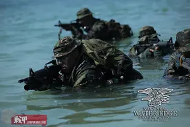 OP. VIRGIN BEACH 老学校海豹涉水外拍图片