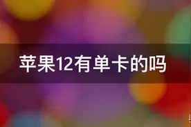 苹果iPhone 12海外版其实都是双卡，国行版实体双卡的利与弊图片