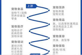 从历史的角度，把握疫情期间的风口图片