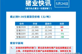紧急通知：东部区生猪调运又出新规！事关山东、河南等6省图片
