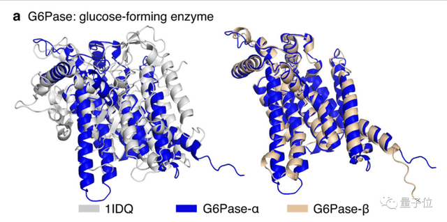 AlphaFold2再登Nature：人类98.5%蛋白质全都被预测，从业者懵了