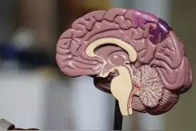 JoCN最新研究：科学家尝试打开“潜意识”这个难以捉摸的世界图片