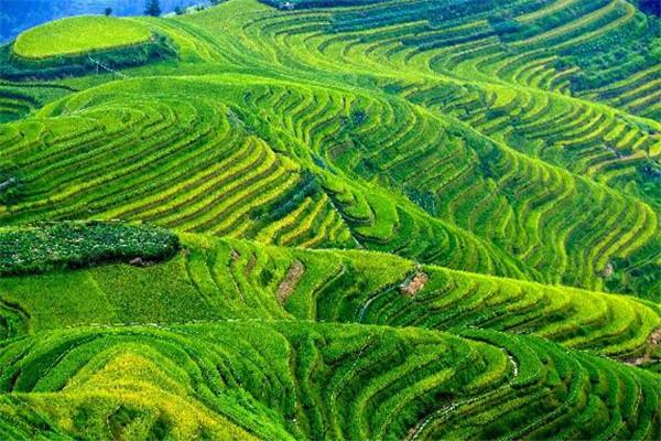 桂林十大最好玩的旅游景点，漓江不容错过的景点